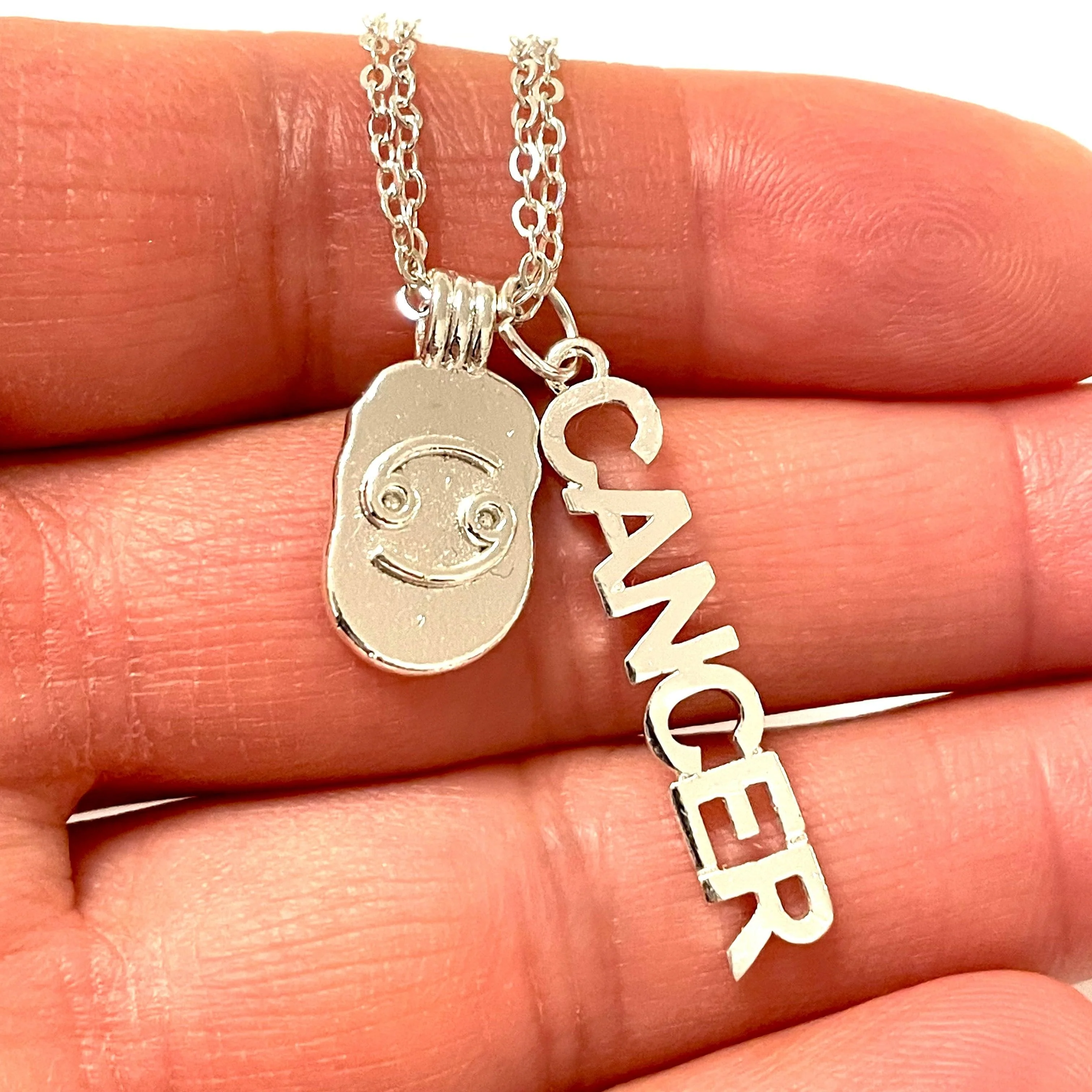 Silver Plated Brass Zodiac Horoscope Sign, Constellation Medallion Pendant,Celestial Astrology Charm-Chain&Jump Rings Not Included - Image 19