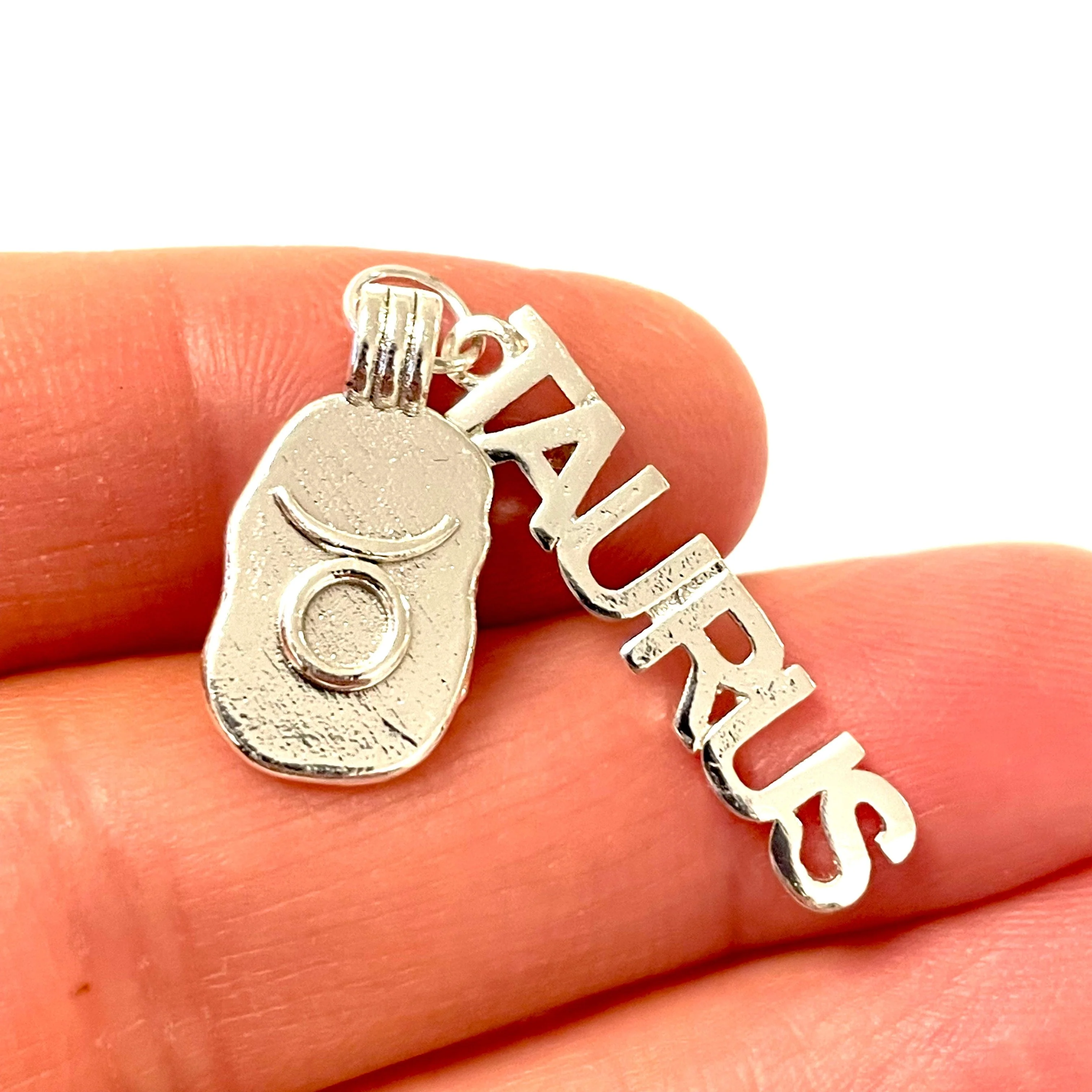 Silver Plated Brass Zodiac Horoscope Sign, Constellation Medallion Pendant,Celestial Astrology Charm-Chain&Jump Rings Not Included - Image 22